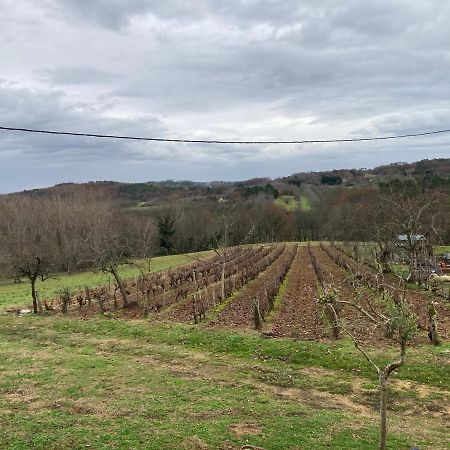 Le Palmier Villa Castelnaud La Chapelle Exteriör bild